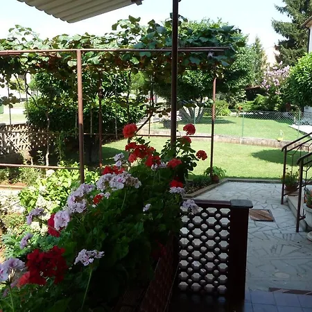 & Milka Guest house 3*
